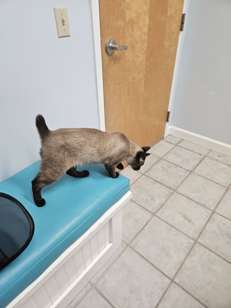 SAN PABLO ANIMAL HOSPITAL Updated August 2024 23 Photos & 20