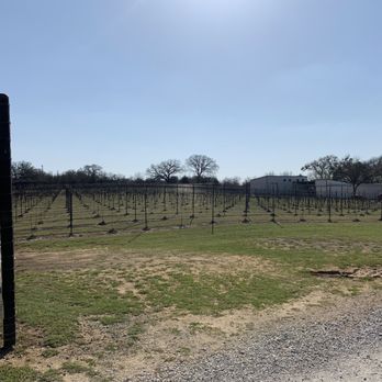Lost Oak Winery - Party & Event Planning Near Me - Burleson, Texas
