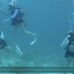 Dive 2 ready for adventure