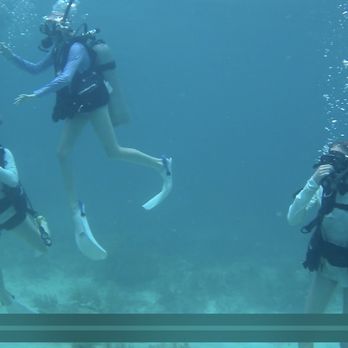 Islamorada Dive Center - Dive 2 ready for adventure - Scuba Diving Near Me - Islamorada, Florida