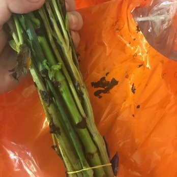 Schnucks Downtown - Today's flowers from Culinaria. The base stems were mushy, dead leaves, and brown goo... - Grocery Near Me - Saint Louis, Missouri