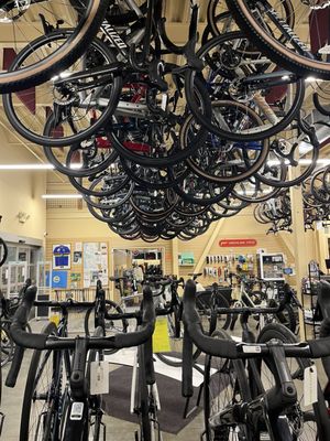 Gregg's Greenlake Cycle by null