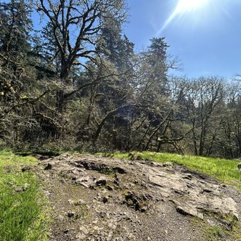 Lacamas Park - Parks Near Me - Camas, Washington