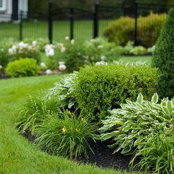 C & D Landscaping