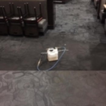 Steam Clean Express - Photo - Carpet Cleaning Near Me Steam Clean Express - Photo - Carpet Cleaning Near Me