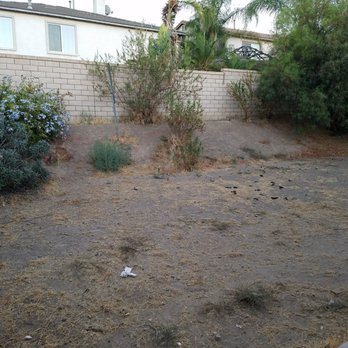 Lucero Tree Service - More before of backyard - Tree Services Near Me Lucero Tree Service - More before of backyard - Tree Services Near Me
