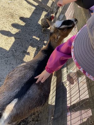 The Farm in Salinas by null