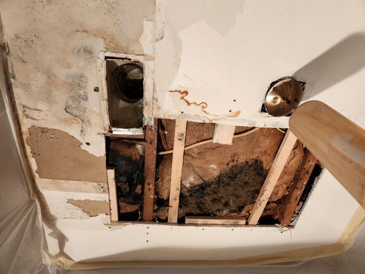 Lee's Drywall and Plaster Repair