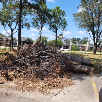The Verandah At LakePointe - Debris from Beryl - Apartments Near Me - Humble, Texas The Verandah At LakePointe - Debris from Beryl - Apartments Near Me - Humble, Texas