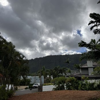 Island Ohana Tree & Landscaping Services - After - Tree Services Near Me - Ewa Beach, Hawaii Island Ohana Tree & Landscaping Services - After - Tree Services Near Me - Ewa Beach, Hawaii