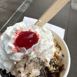 2-dip coconut chocolate crunch hot fudge sundae