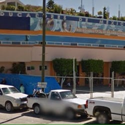 Colegio Educadores de México