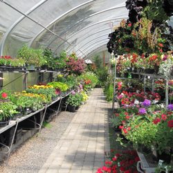 Bear Valley Nursery