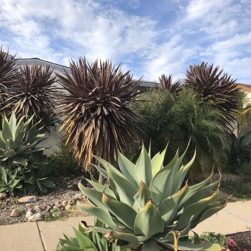 Jimenez Landscaping - Before - Landscaping Near Me Jimenez Landscaping - Before - Landscaping Near Me
