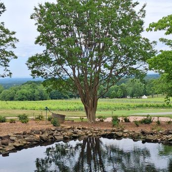 Raffaldini Winery - Wineries Near Me - Ronda, North Carolina