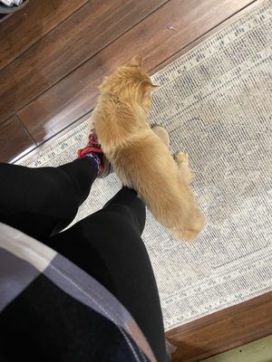 Jen's Place Boutique & Gift Shop