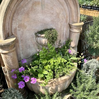 Enchanted Forest - Beautiful! - Nurseries & Gardening Near Me - Richmond, Texas