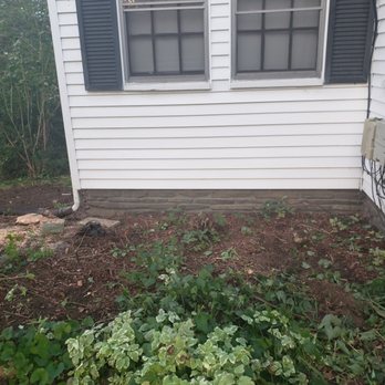 Hailey Tree - Tree Services Near Me