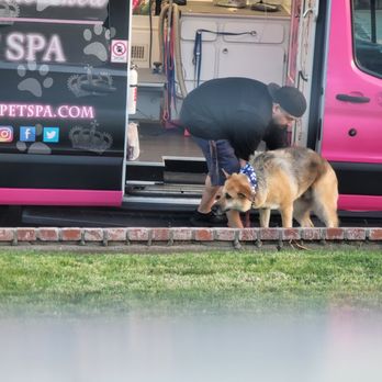 Royalty Unleashed Mobile Pet Spa - Frankie is making sure Nala doesn't get hurt by helping her off the truck. He even sacrifices his own back for our babies. TY - Pet Groomers Near Me Royalty Unleashed Mobile Pet Spa - Frankie is making sure Nala doesn't get hurt by helping her off the truck. He even sacrifices his own back for our babies. TY - Pet Groomers Near Me