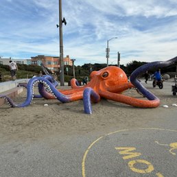 Octopus climbing Octopus climbing