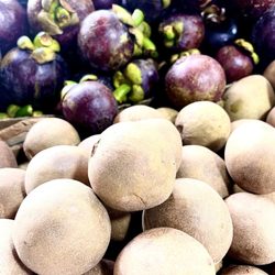 Farmers Market - Chicos and Mangosteens. I only bought fruits that I could only get here that aren't ever allowed in the US.