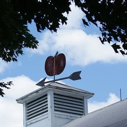 Gove Farm