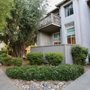 Moji Hakimi - Golden Gate Sotheby's International Realty