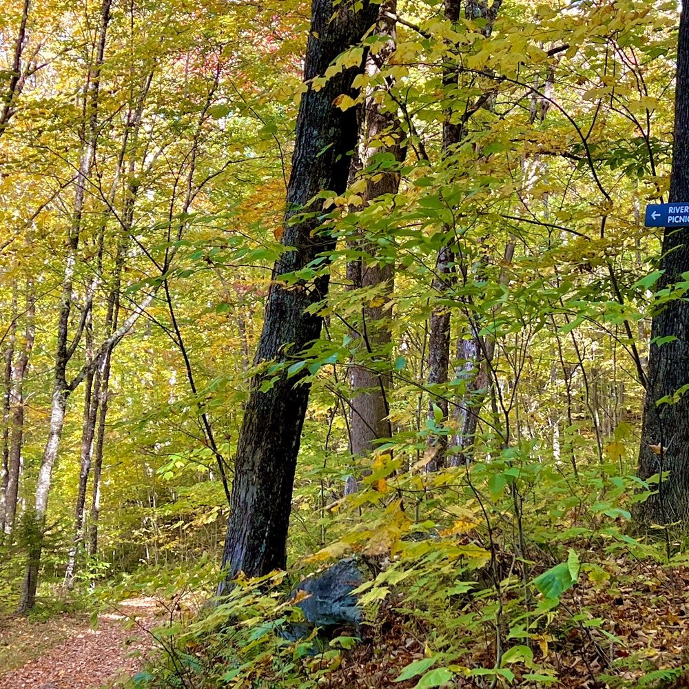 Bingham Falls - There's one trail offshoot, well marked, that takes you to a lovely picnic area by the river - Hiking Near Me - Stowe, Vermont