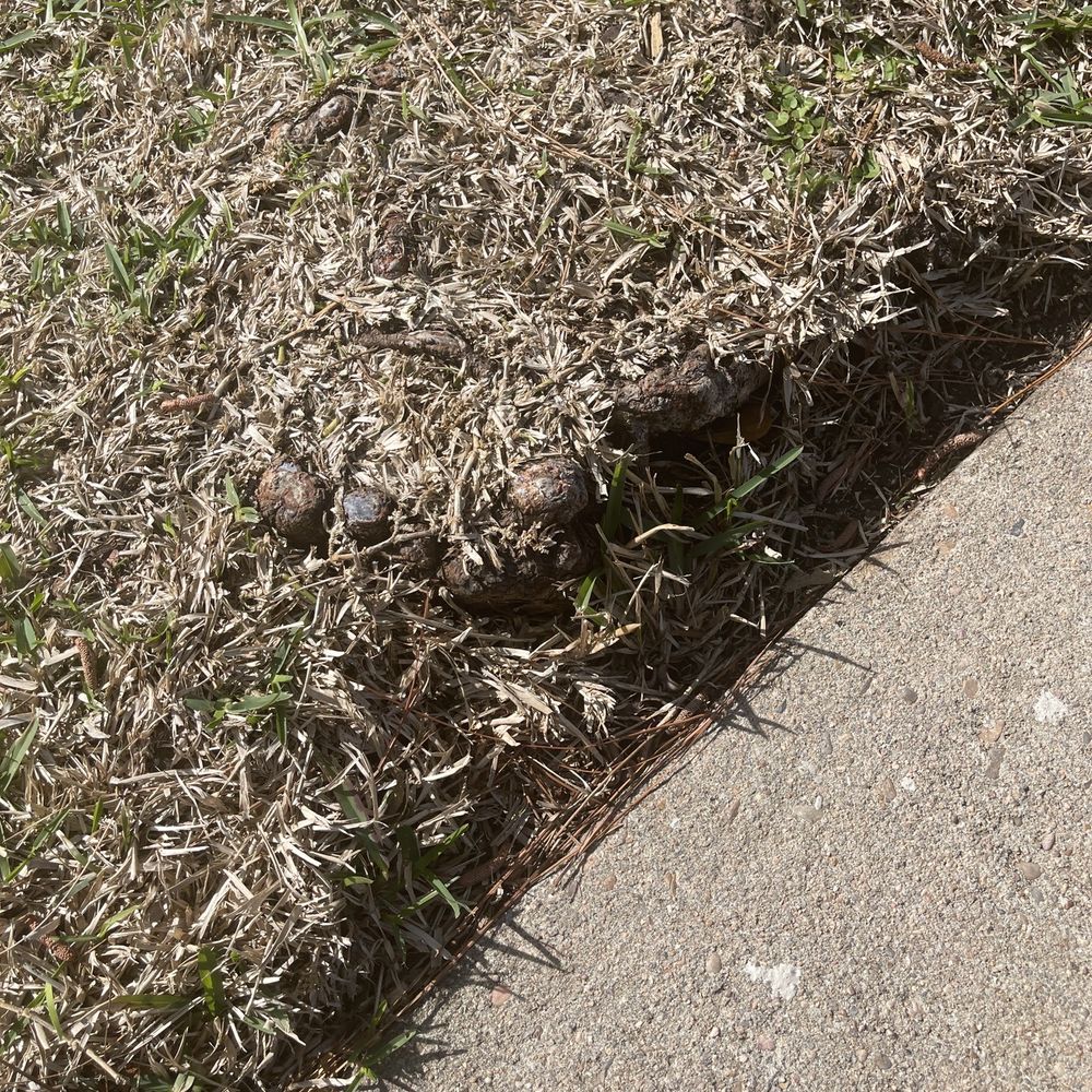 C.I.R Tree Service - Tree Services Near Me - Houston, Texas