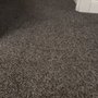 Loop Carpet & Services