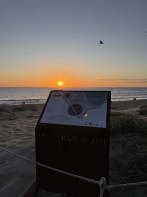 Point Dume State Beach by null
