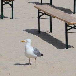 Südstrand