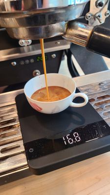 caffe d'bolla by null