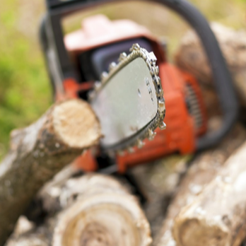 Native Woods Tree Care - Tree Services Near Me Native Woods Tree Care - Tree Services Near Me