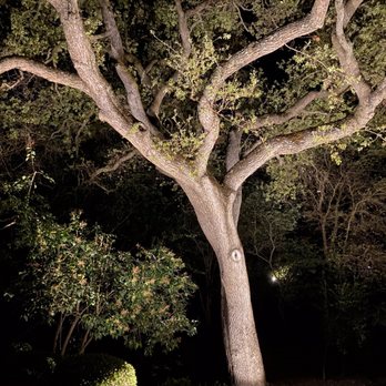All Bright Electric - Outdoor lights - Electricians Near Me - Clayton, California All Bright Electric - Outdoor lights - Electricians Near Me - Clayton, California