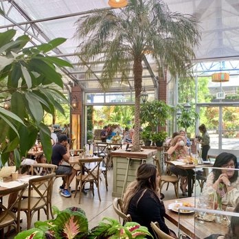 High Hand Cafe - All glass atrium serves as their main dining area - New American Near Me - Loomis, California