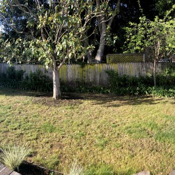 Just Fences and Decks - The fence as we inherited it - Fences & Gates Near Me Just Fences and Decks - The fence as we inherited it - Fences & Gates Near Me