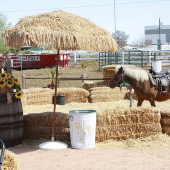 McKee Ranch - Pony rides were included in the birthday party package - Ranches Near Me - Las Vegas, Nevada McKee Ranch - Pony rides were included in the birthday party package - Ranches Near Me - Las Vegas, Nevada