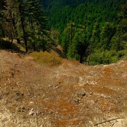 Willamette Mountain Mercantile - Enjoying the view!!