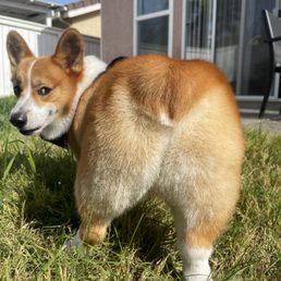 perfect booty trim!!