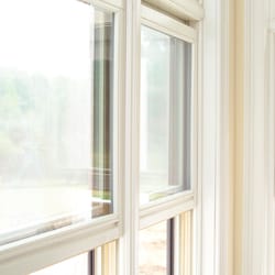 Mold Terminator - Helping you live and breathe in a clean environment.