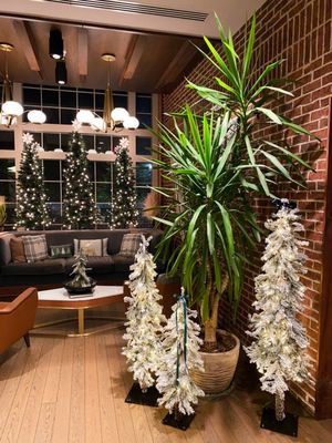 The Lost Square by null