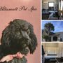 Photo of Ultamutt Pet Spa