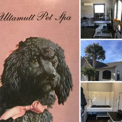 Ultamutt Pet Spa