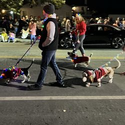 Niles Festival of Lights