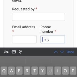 Treo Community Management - Report a Violation form is intentionally unusable.