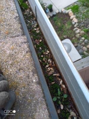 Slide of Reliable Roof Repair