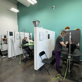 Petropolis - We offer baths, haircuts, spa packages, nail trimming, and more! We can't wait to spoil your pet! - Pet Training Near Me - Saint Charles, Missouri Petropolis - We offer baths, haircuts, spa packages, nail trimming, and more! We can't wait to spoil your pet! - Pet Training Near Me - Saint Charles, Missouri