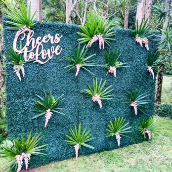 Hiavma Designs - Live Plant Wall Backdrop - Party Equipment Rentals Near Me