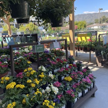 Armstrong Garden Centers - Nurseries & Gardening Near Me - Glendora, California